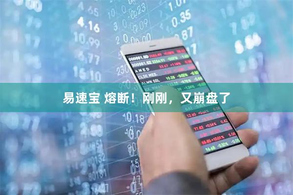 易速宝 熔断！刚刚，又崩盘了