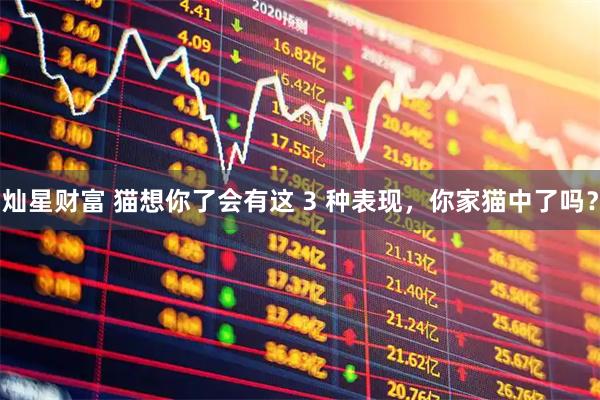 灿星财富 猫想你了会有这 3 种表现，你家猫中了吗？