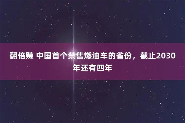 翻倍赚 中国首个禁售燃油车的省份，截止2030年还有四年